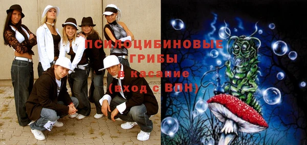 крисы Беломорск