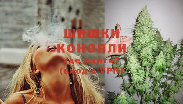 гидра Белокуриха