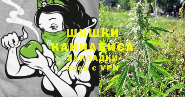 гидра Белокуриха
